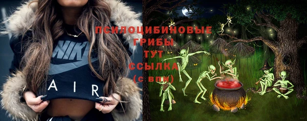 крисы Краснотурьинск