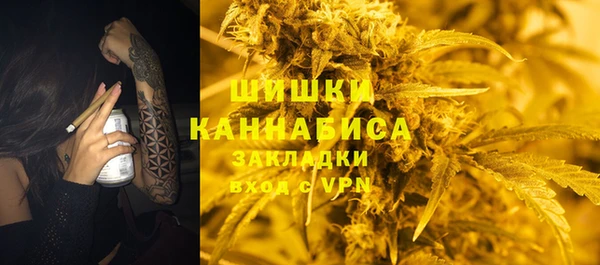 мдпв Кукмор