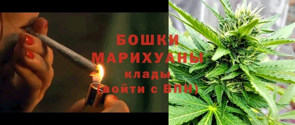 мдпв Кукмор