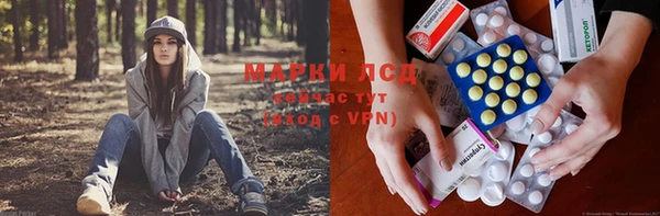 дживик Кулебаки