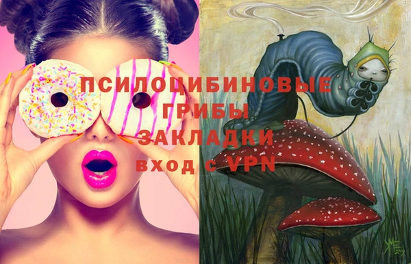 мдпв Кукмор