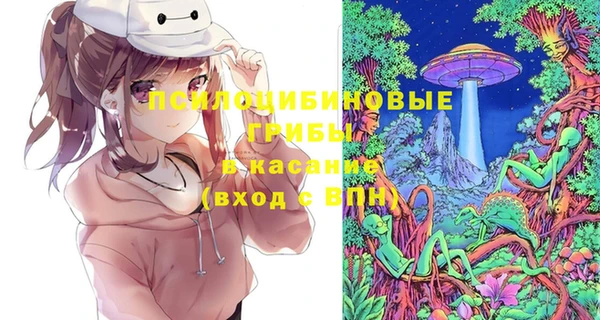 дживик Кулебаки
