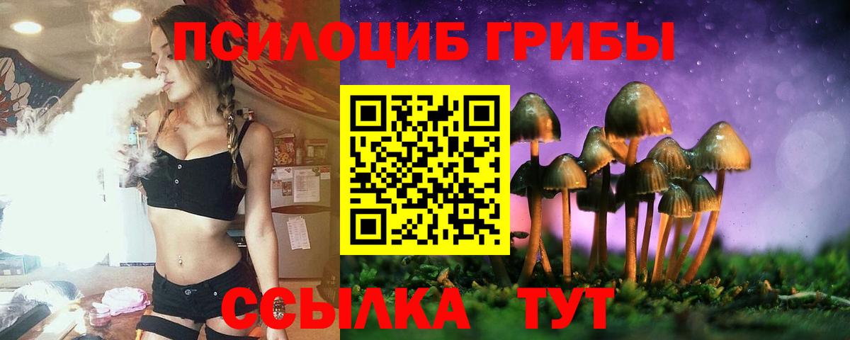 Псилоцибиновые грибы прущие грибы  Псилоцибиновые грибы мухоморы  Медногорск  Вход с VPN 
